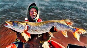 НАРВАЛИСЬ И ДОРВАЛИСЬ! ЩУЧЬЕ ЭЛЬДОРАДО! Затестил новые приманки с выставки.