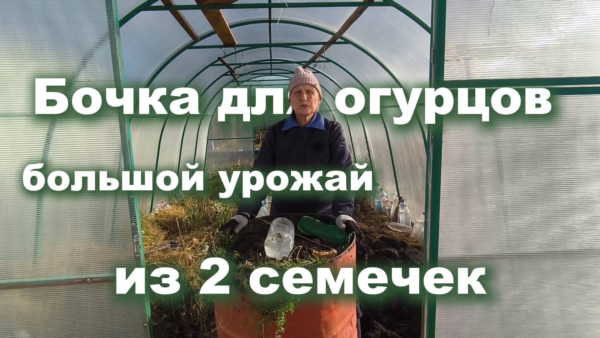 Бочка для огурцов: готовим осенью, собираем большой урожай летом смотреть онлайн