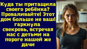 Истории из жизни|Куда ты притащила|Аудио рассказы|Аудиокниги слушать онлайн|Жизненные истории