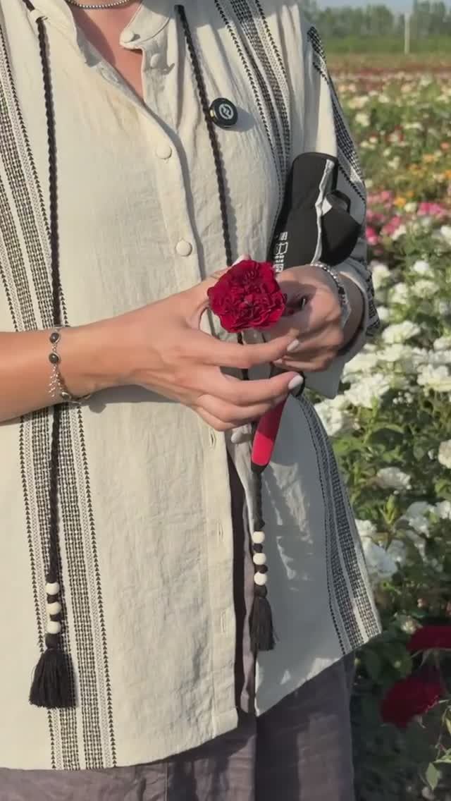 НЕВЕРОЯТНО УСТОЙЧИВАЯ РОЗА «ЧЕРНЫЙ ЖЕМЧУГ» смотреть онлайн