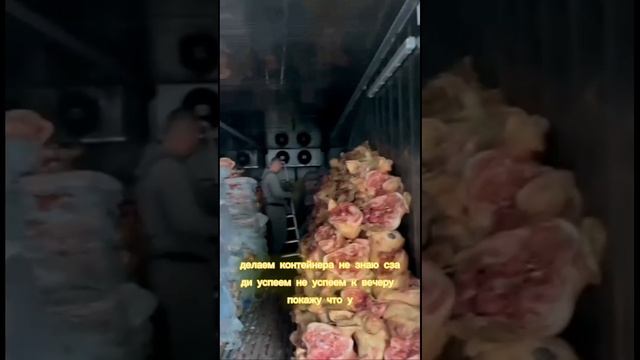 Делаем электрику в трех рефрижераторах и тех помещениях. смотреть онлайн