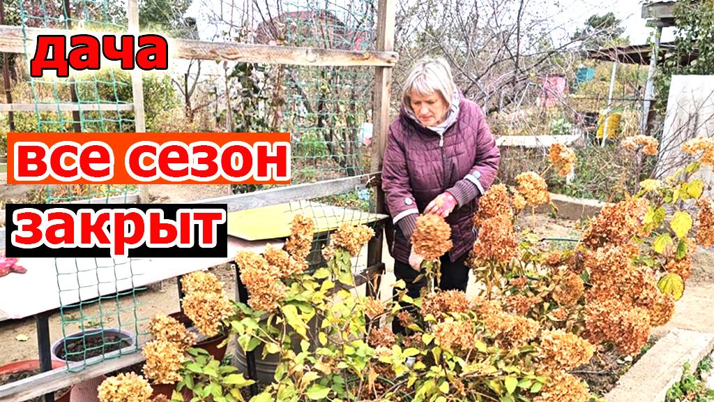 Дача.Вот и закончился дачный сезон.Осталось только закрыть на зиму виноград и ежевику смотреть онлайн