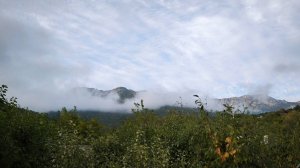 Песенная Медитация на Чайном Дворике 🎼🎧🎻🔥 02.10.2025