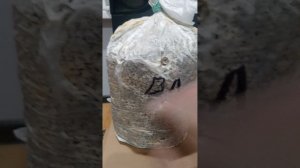 ВЕШЕНОК БЛОКИ КАК ПРАВИЛЬНО ИСПОЛЬЗОВАТЬ