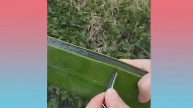 Смотреть не пересмотреть 2. Занимательные интересные кадры.