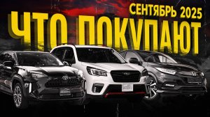 Что привезти до 160 л.с.?🧐 Покупки наших клиентов в сентябре | Обзор парковки Sferacar