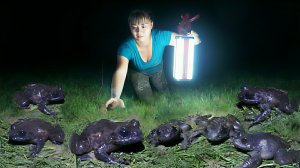 Ловля лягушек ночью. Отправляюсь на сельский рынок и продаю их. Уход за утками. Жизнь во Вьетнаме