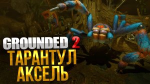 Grounded 2 ➤ КАК УБИТЬ ТАРАНТУЛА АКСЕЛЯ / БРОНЯ НОЧНОГО ОХОТНИКА / HAIRY AND SCARY AXL
