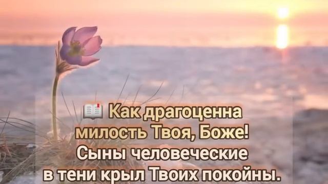 Милость Твоя надо мной велика (караоке) смотреть онлайн