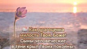 Милость Твоя надо мной велика (караоке)