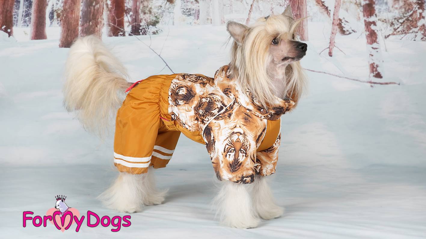 How not to make a mistake when choosing an overall by ForMyDogs смотреть онлайн