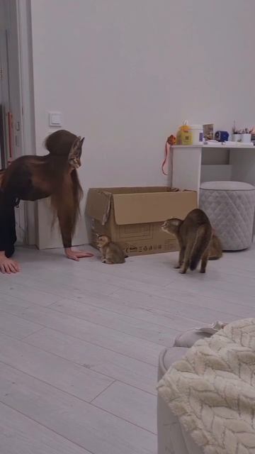 Жить что ли надоело 😃 смотреть онлайн