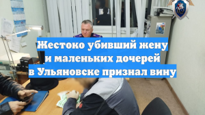 Жестоко убивший жену и маленьких дочерей в Ульяновске признал вину