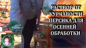 Готовлю раствор для осенней обработки персика от курчавости. Открываю все секреты
