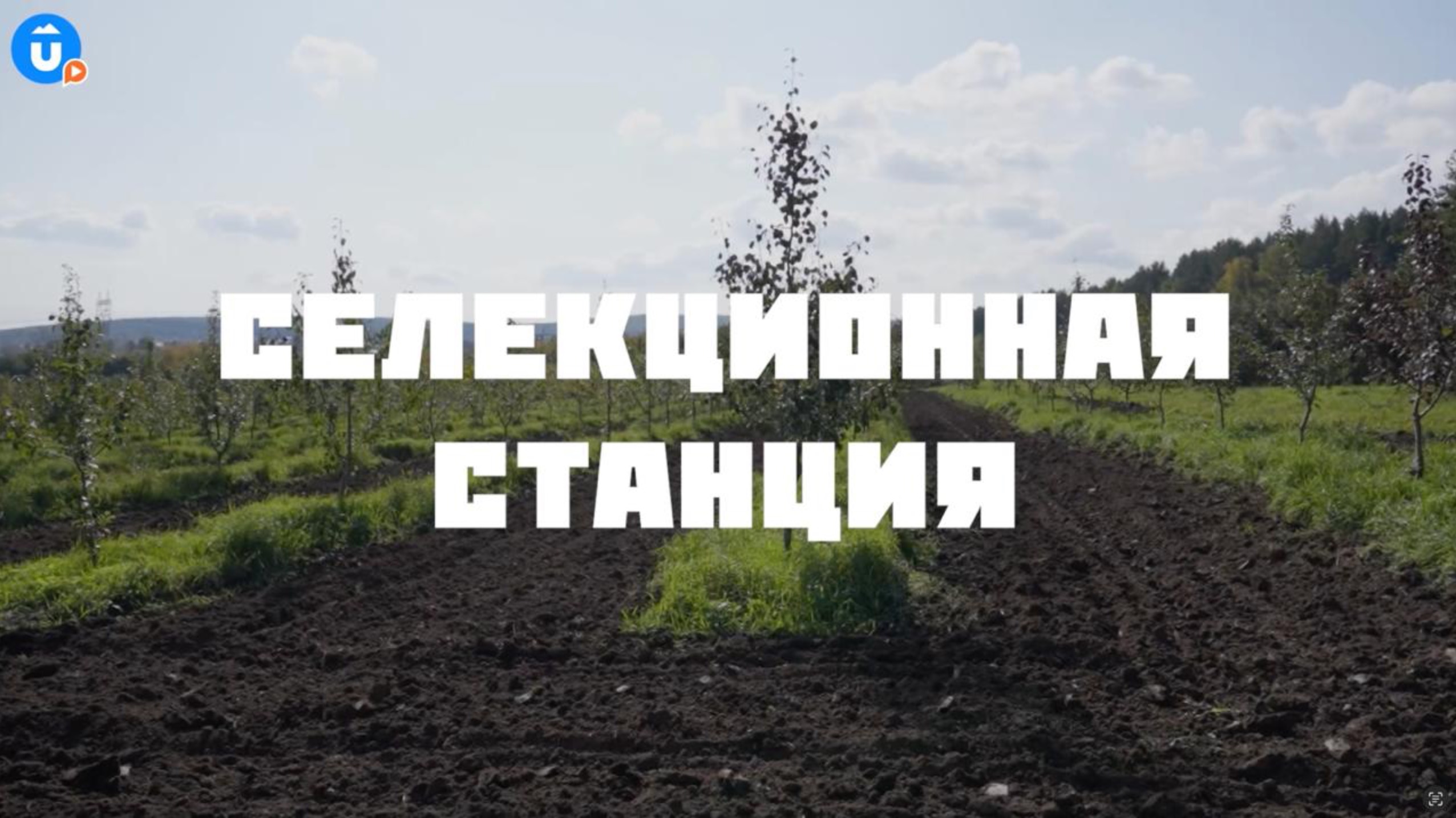 Селекционная станция Екатеринбурга. Навигатор Live смотреть онлайн