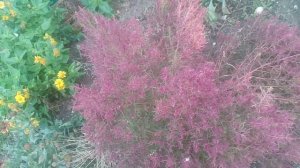 VID_20251001_164135.mp4