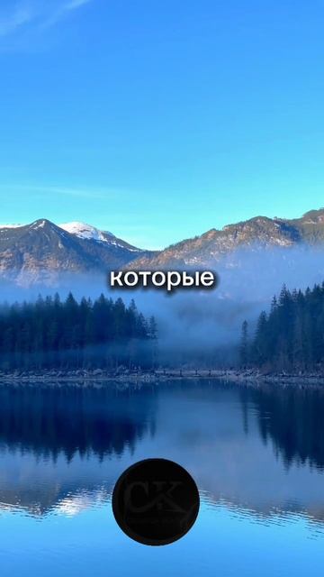 Всё что появляется в вашей жизни вы сами всё притягиваете смотреть онлайн