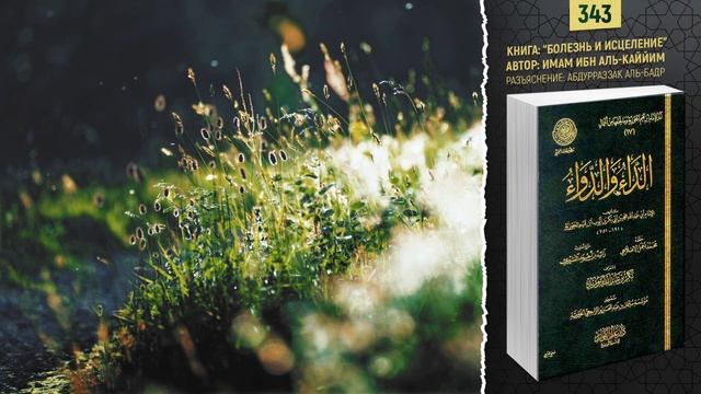 Говори благое или молчи | Болезнь и исцеление | №343 смотреть онлайн