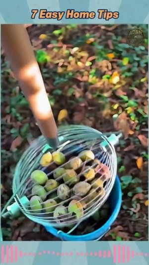 7 tips and tricks (92)