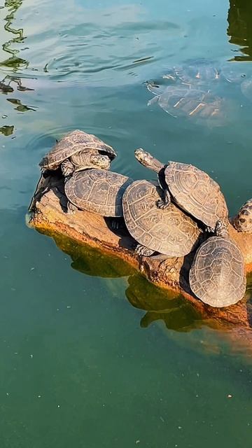 Сан Исидро. Лима. Перу