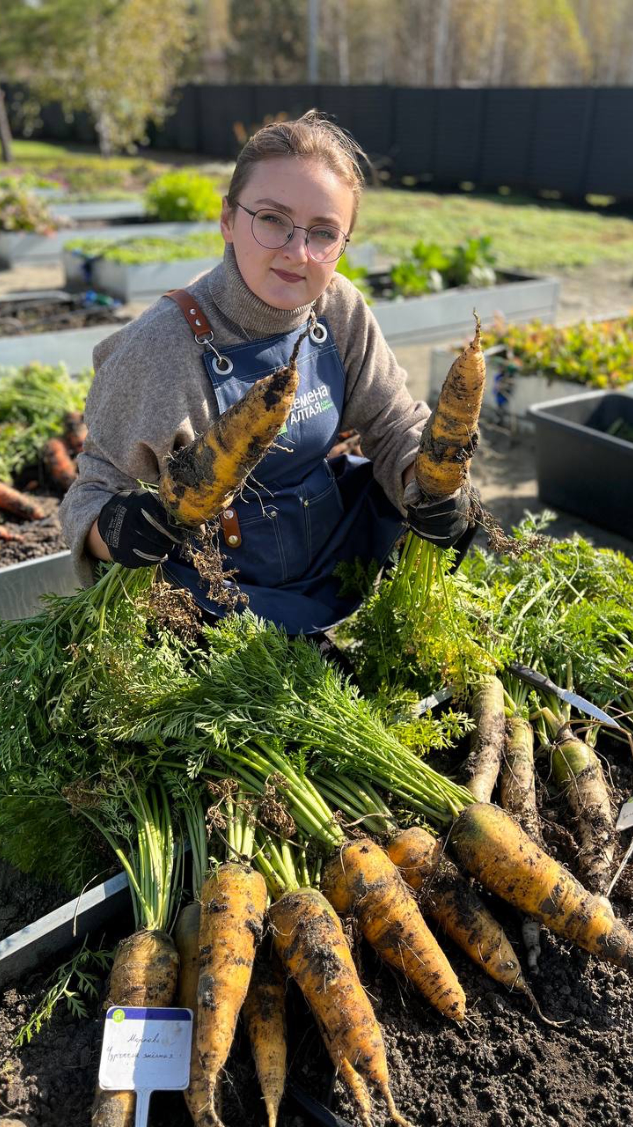 КОГДА УБИРАТЬ МОРКОВЬ НА ХРАНЕНИЕ смотреть онлайн