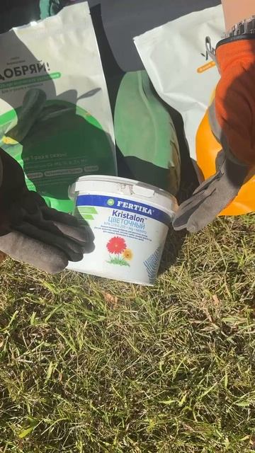 КАКИЕ УДОБРЕНИЯ МОЖНО ПРИМЕНЯТЬ ОСЕНЬЮ смотреть онлайн