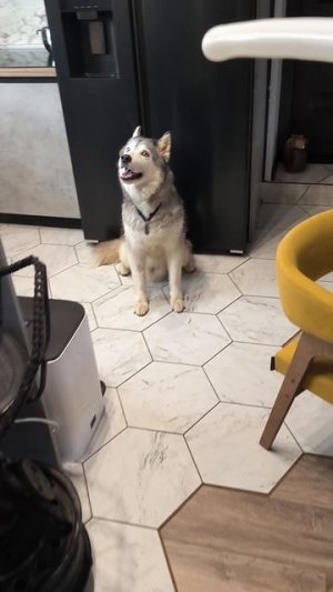 Побочный эффект работы из дома