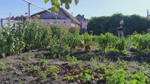 КУПИЛИ КОТЁЛ/ПОТОП В ДОМЕ,СЛИВАЕМ ВОДУ/ГОТОВИМСЯ К ХОЛОДАМ/УРОЖАЙ