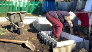 IMG_9123 Строю капитальный, теплый парник.