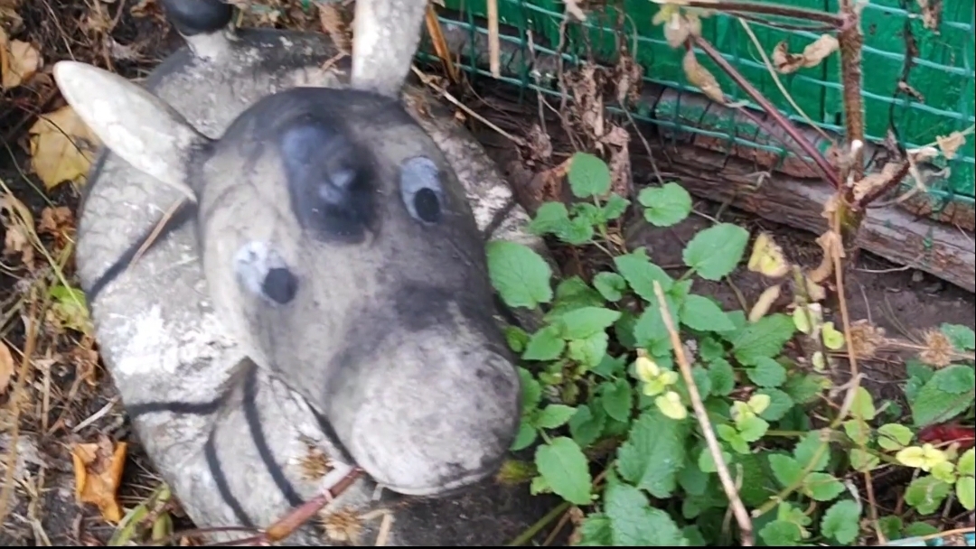 Жуткое зрелище,ослик как кочегар/дача/проверка/01.10.25г смотреть онлайн