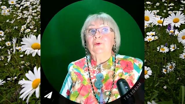 классная клубная система |