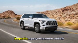 Довольно дорого: в России начались продажи новых Toyota Sequoia