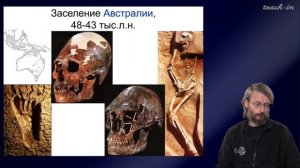 Дробышевский. Неоантропы