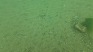 Находка пляж Читувай дно, Находка, август 2025.