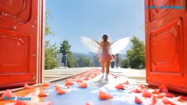 Dj VIT(Videy) - Starlight Voyage