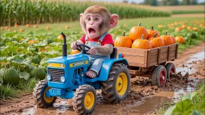 Мультики для детей. Обезьянка спасает собачку на синем тракторе. Мультики