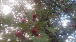 VID_20251001_161354.mp4