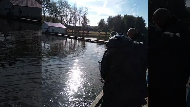 1000083760.mp4 смотреть онлайн