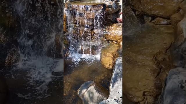 ПРОГУЛКА ПО ЯПОНСКОМУ САДУ ПАРКА ГАЛИЦКОГО В КРАСНОДАРЕ октябрь 2025 года