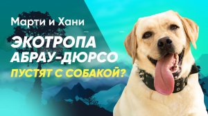 ЭКОТРОПА В АБРАУ-ДЮРСО КРАСНОДАРСКИЙ КРАЙ / МОЖНО ЛИ С СОБАКОЙ? / ПРОГУЛКА ПО ГОРАМ И СПУСК К ОЗЕРУ