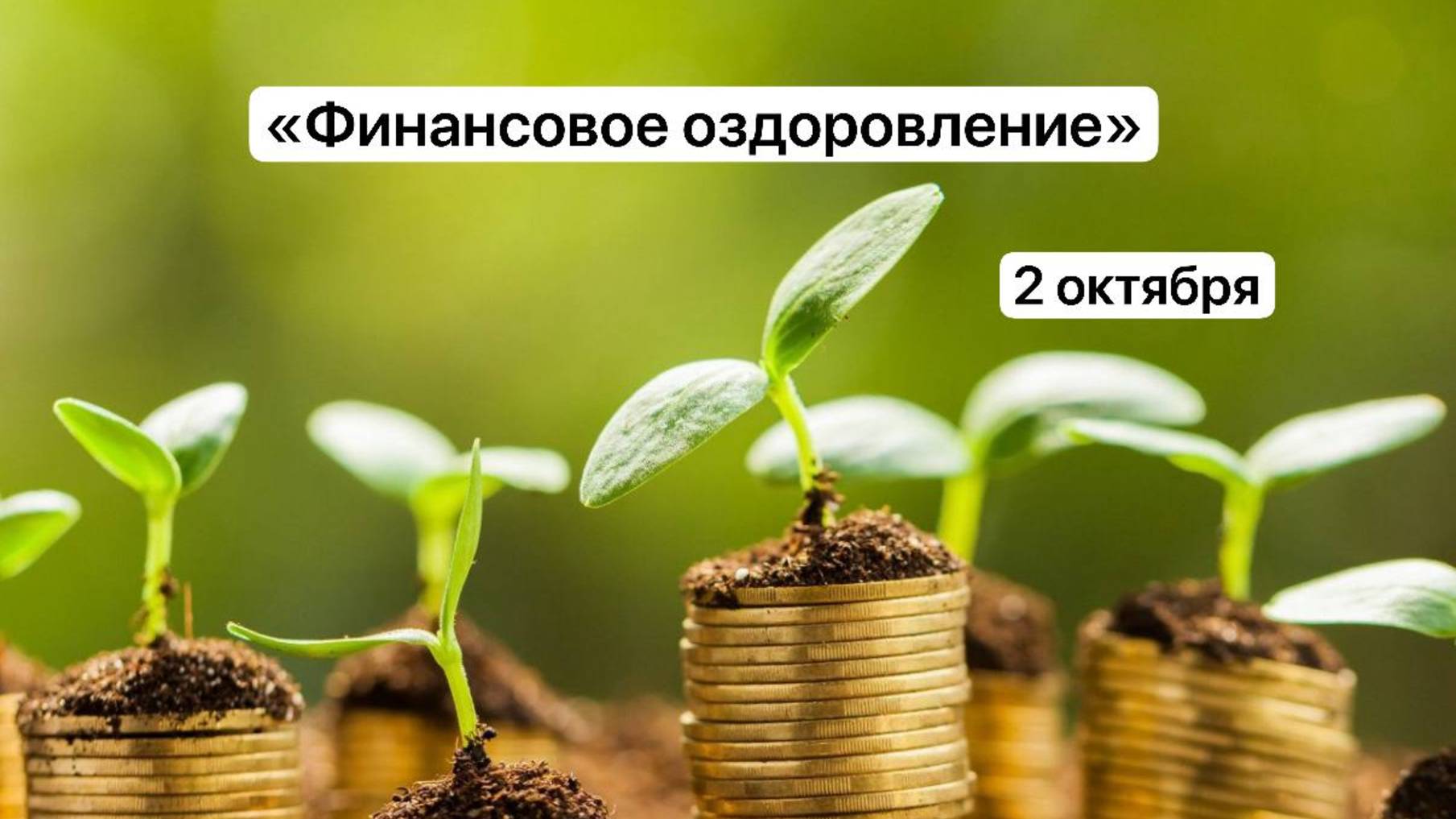 Финансовое оздоровление 02 октября 2025