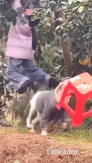 Хотите больше интересного? Подписывайтесь на канал, смотрите новые публикации))