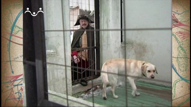 Аты-баты. Собаки на войне смотреть онлайн