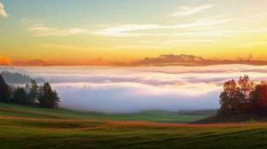 Грибной дождь.