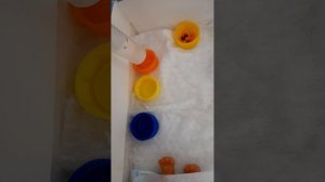 влог сквиш собак 1 серия