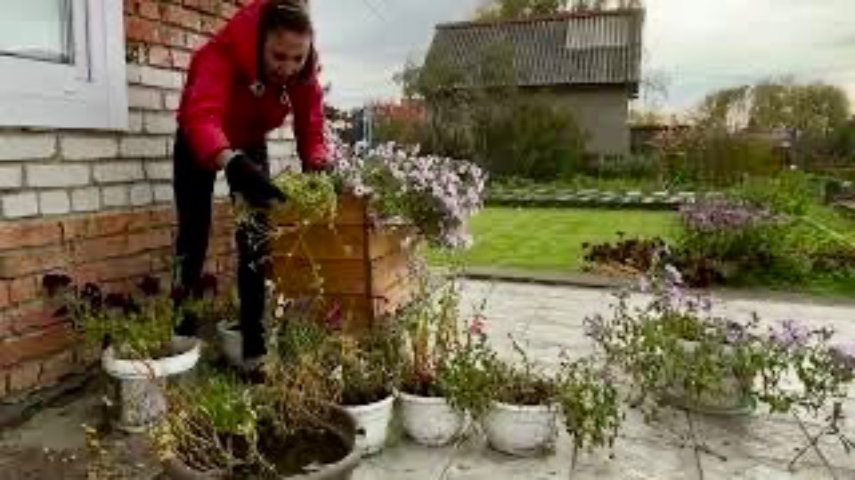 На даче: Подготовка огорода к зиме смотреть онлайн