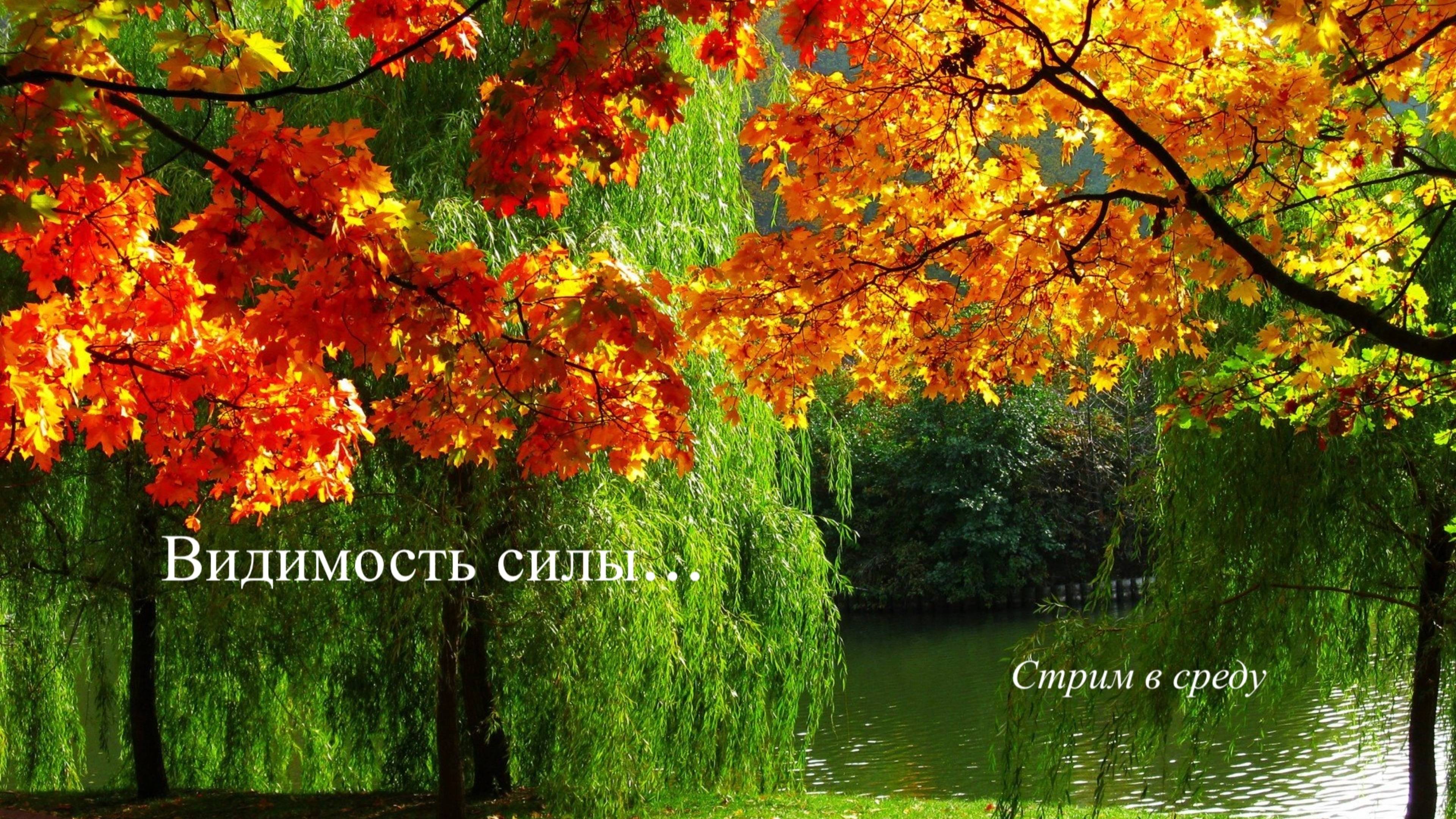 Видимость силы смотреть онлайн