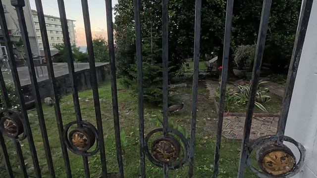 Прогулка по Гагре (проспект Ардзинба)