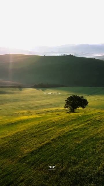 «Стань моей судьбой, той, что искала»♥️ смотреть онлайн