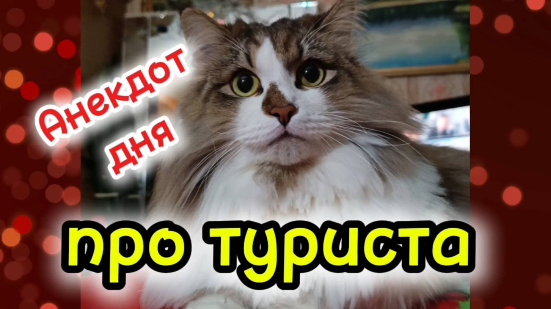 Анекдот дня. смотреть онлайн